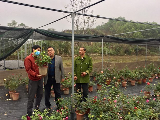 Nghiên cứu, hoàn thiện quy trình trồng, chăm sóc một số giống hoa hồng Bungaria nhập nội mới trên địa bàn tỉnh Thái Nguyên