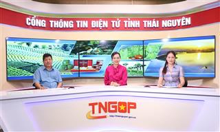 Tọa đàm trực tuyến: Tăng cường bảo hộ quyền sở hữu trí tuệ cho sản phẩm chè Thái Nguyên